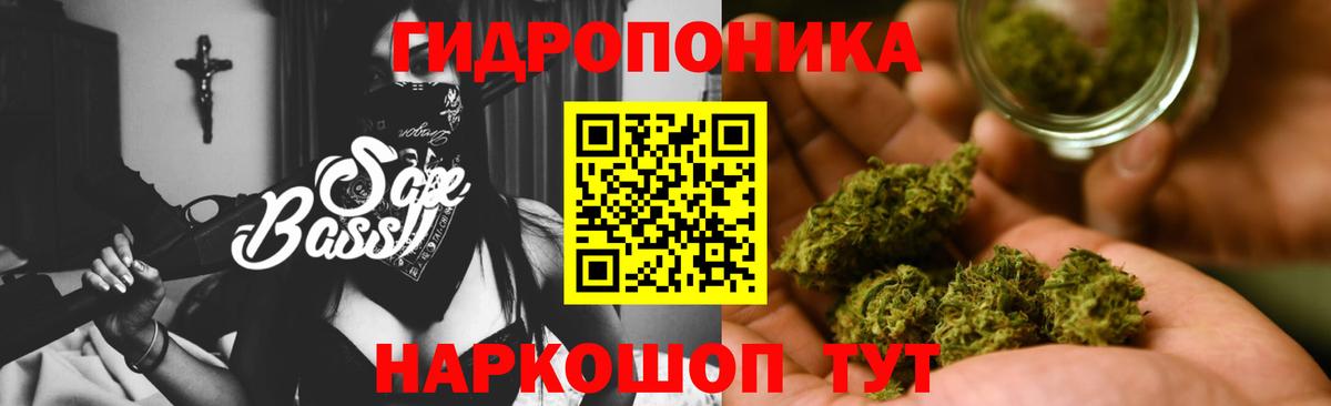 Конопля сатива Реутов